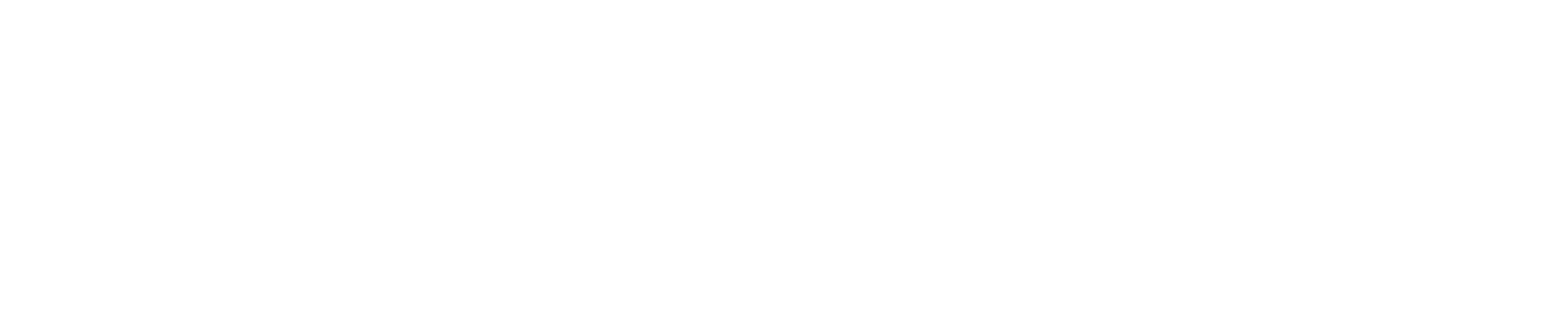 Ionfi